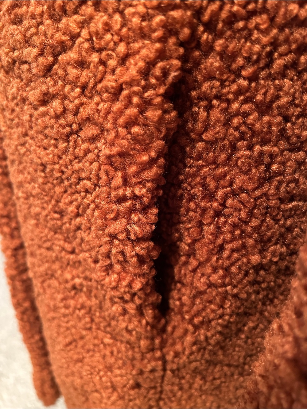 Sam Edelman Rust Teddy Bear Coat M - Picture 3 of 3